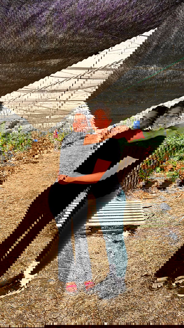 _hilaluu image ~ Altpins