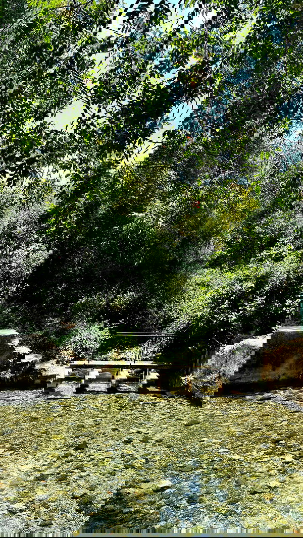 _hilaluu image ~ Altpins