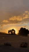 _hilazulay Altpins Profile Picture