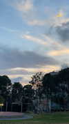 _hilazulay Altpins Profile Picture