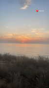 _hilazulay Altpins Profile Picture