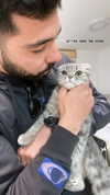 _hilazulay Altpins Profile Picture