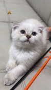 _hilazulay Altpins Profile Picture