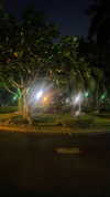 _hkd_x Altpins Profile Picture
