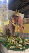 _hkd_x Altpins Profile Picture