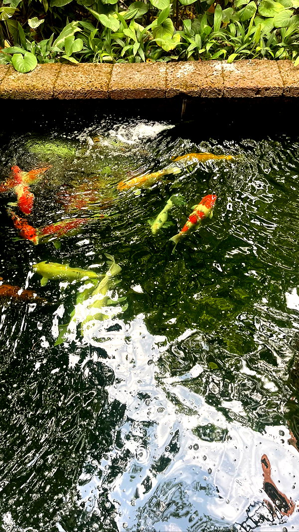 _hkd_x instagram image archive image