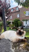 _kybelle Altpins Profile Picture