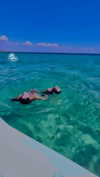 _laleonetti_ Altpins Profile Picture