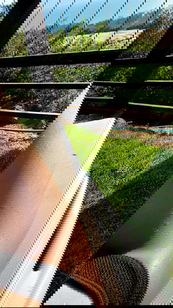 _lil_noa_ _lil_noa_ archive image