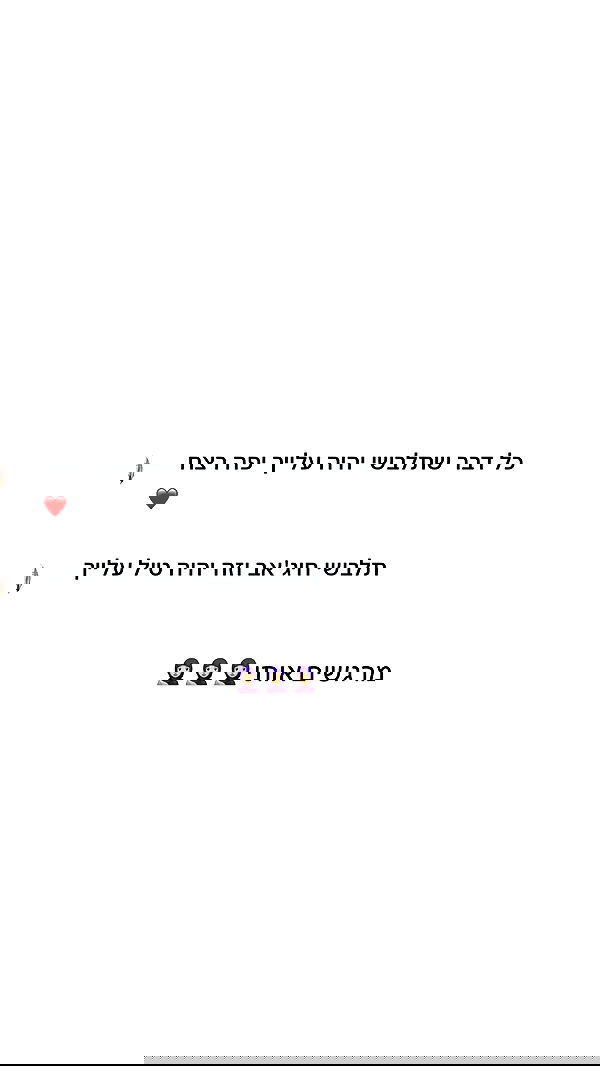 _lil_noa_ _lil_noa_ archive image