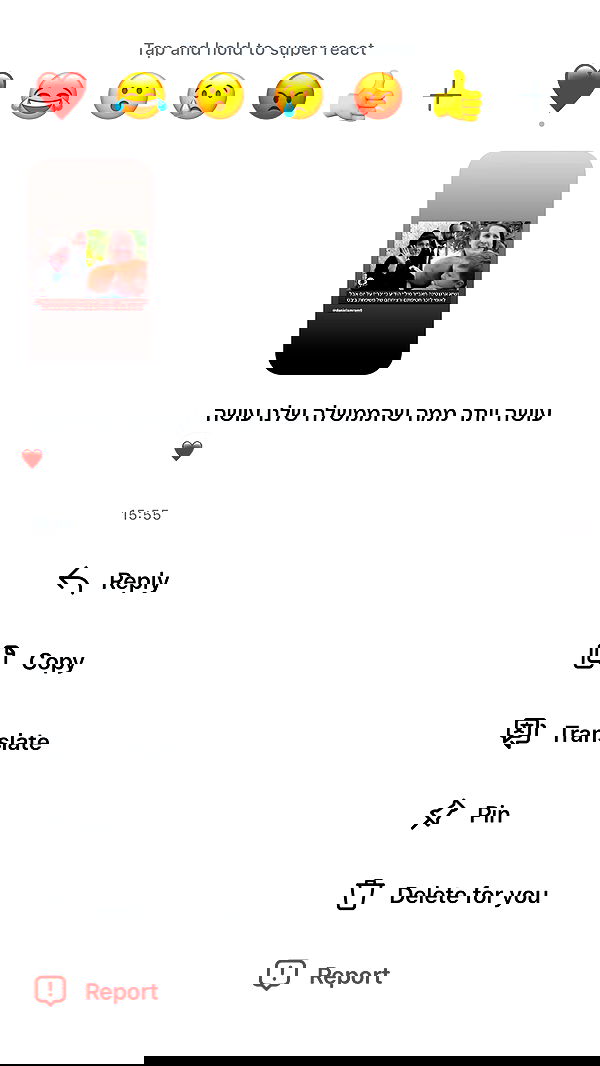 _lil_noa_ _lil_noa_ archive image