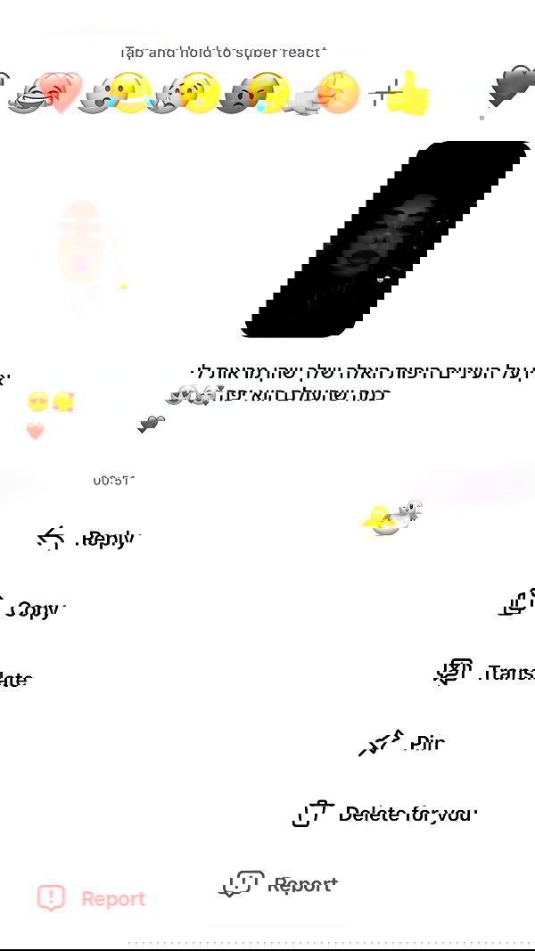 _lil_noa_ _lil_noa_ archive image