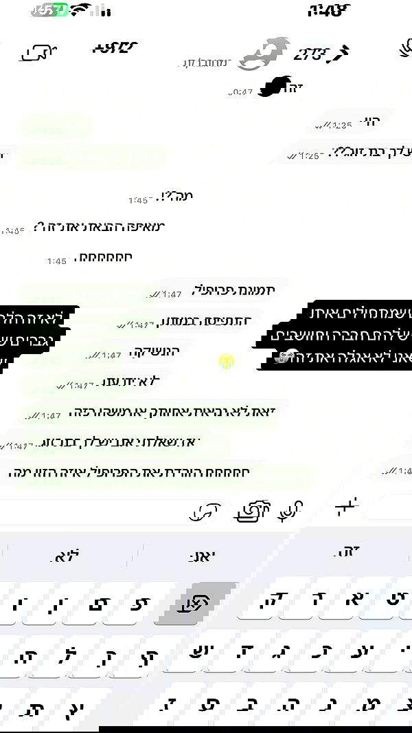 _lil_noa_ _lil_noa_ archive image