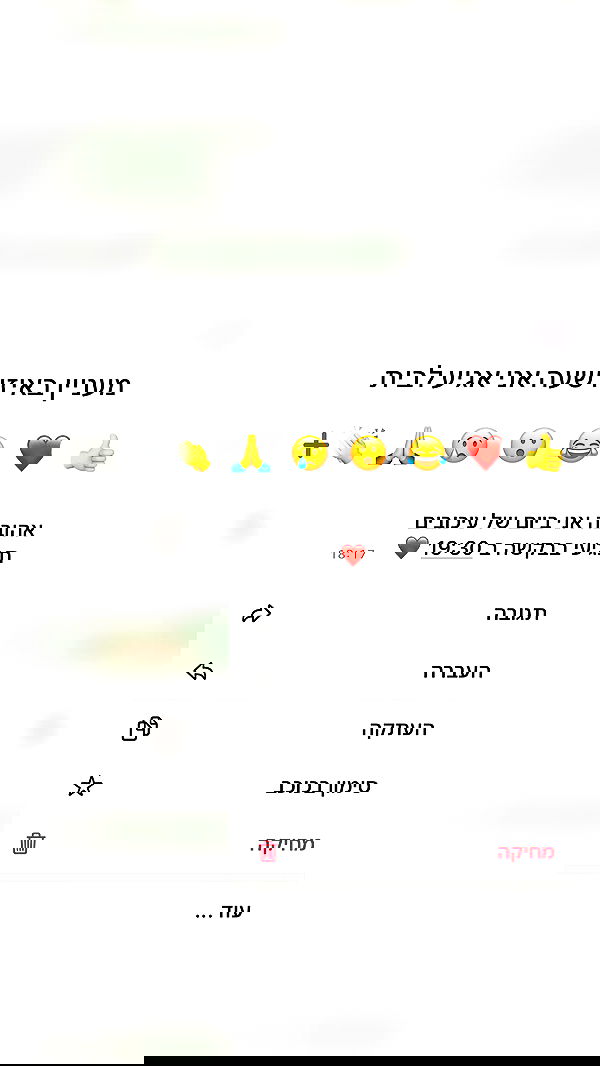 _lil_noa_ _lil_noa_ archive image