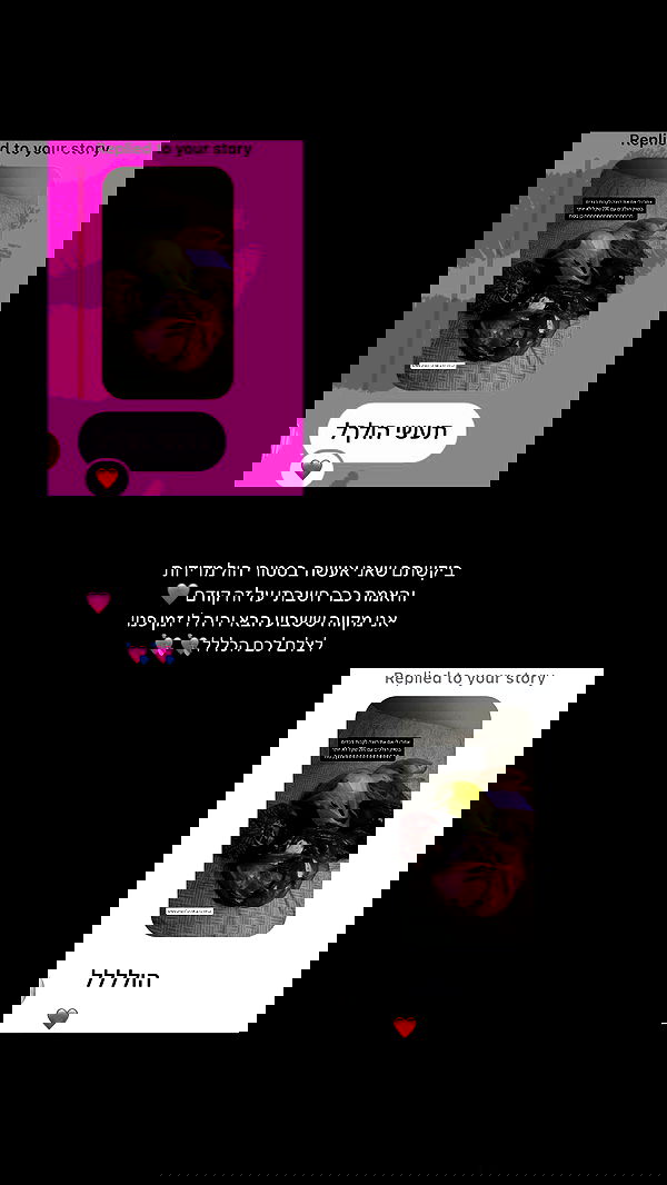 _lil_noa_ _lil_noa_ archive image