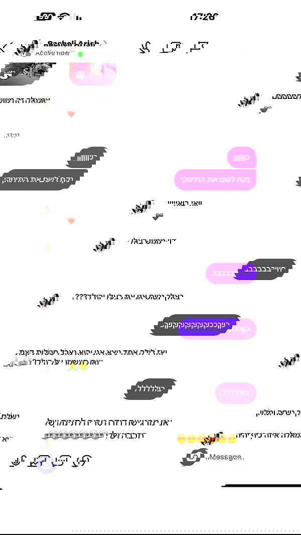 _lil_noa_ _lil_noa_ archive image