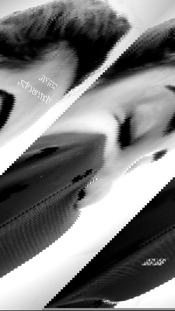 _lil_noa_ _lil_noa_ archive image