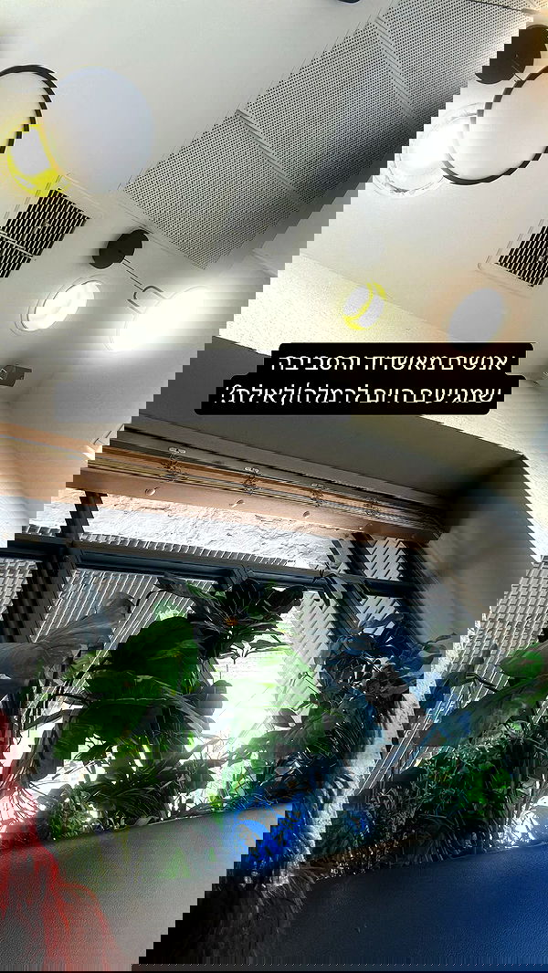 _lil_noa_ _lil_noa_ archive image