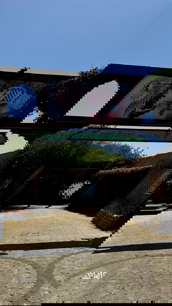 _lil_noa_ _lil_noa_ archive image