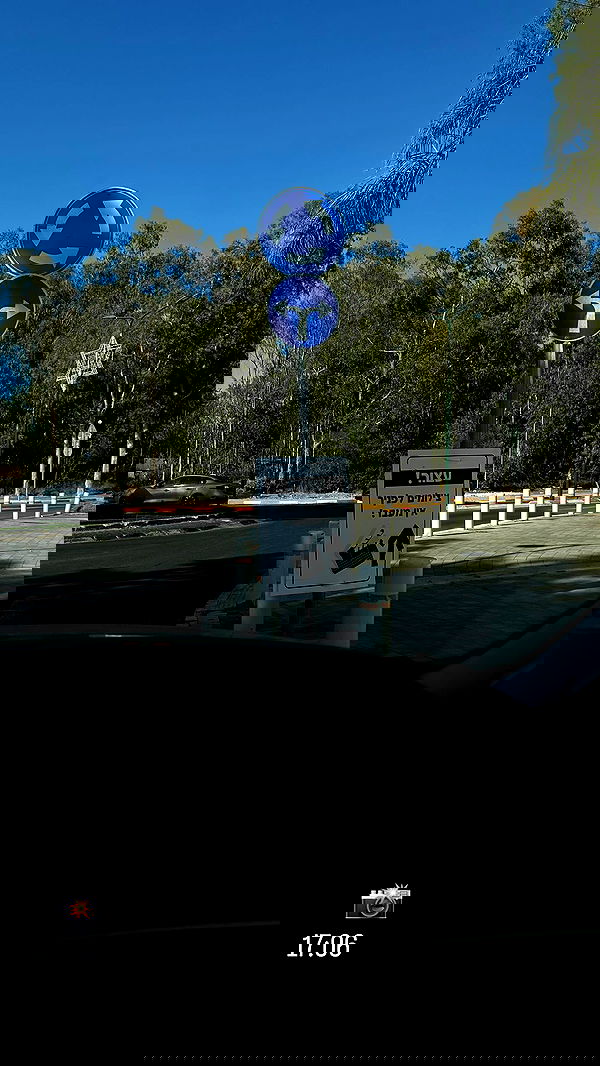 _lil_noa_ _lil_noa_ archive image