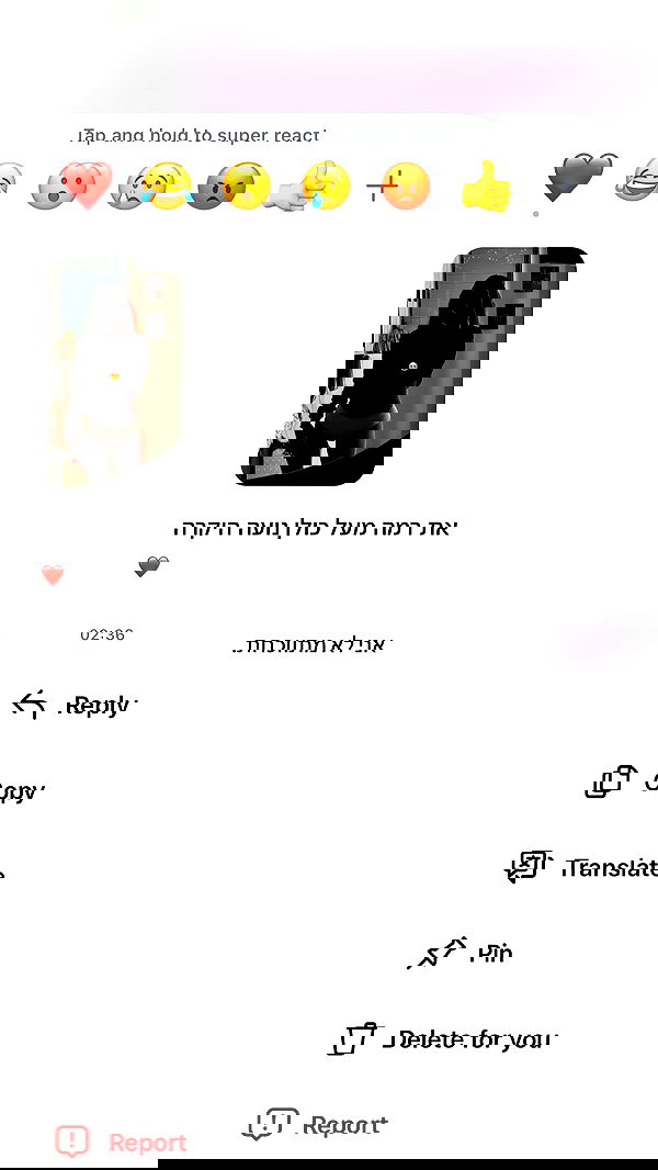 _lil_noa_ _lil_noa_ archive image