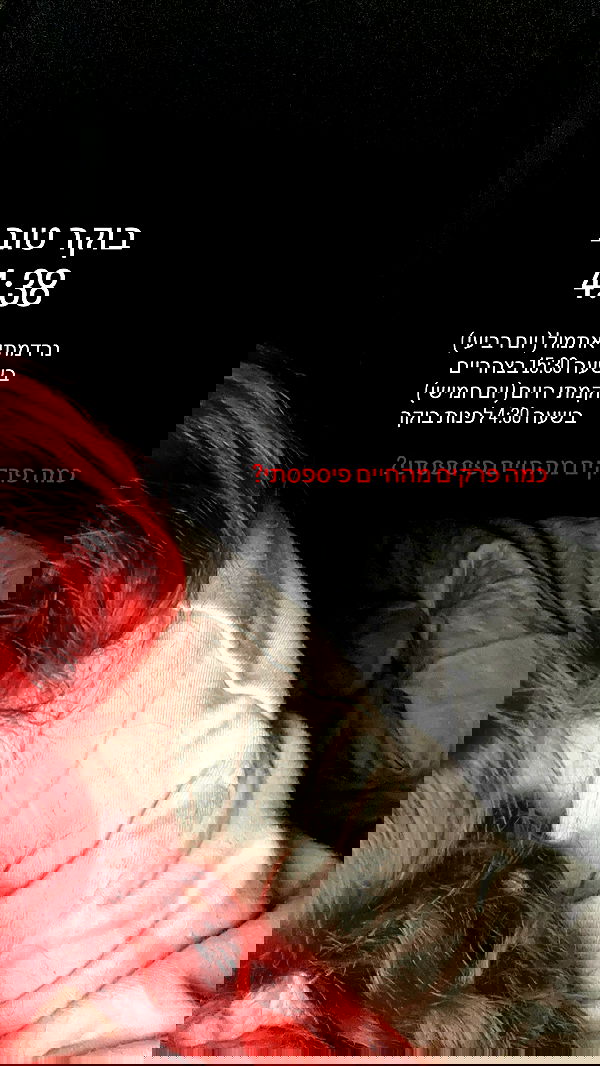 _lil_noa_ _lil_noa_ archive image