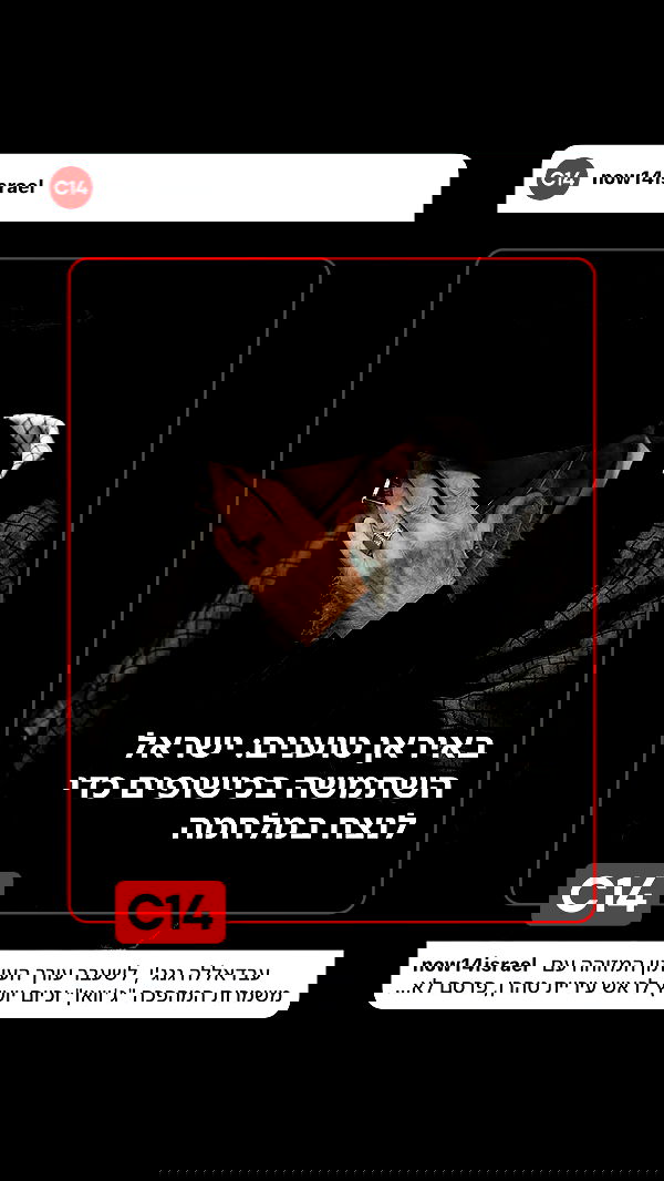 _lil_noa_ _lil_noa_ archive image