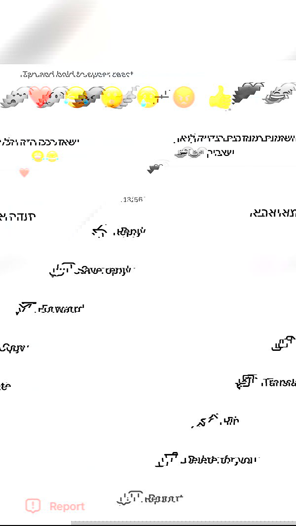 _lil_noa_ _lil_noa_ archive image