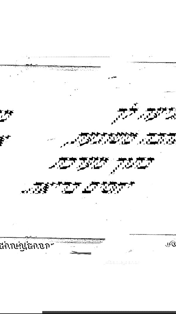 _lil_noa_ _lil_noa_ archive image