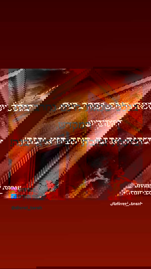 _lil_noa_ _lil_noa_ archive image