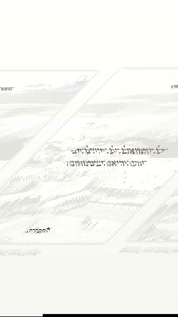 _lil_noa_ _lil_noa_ archive image