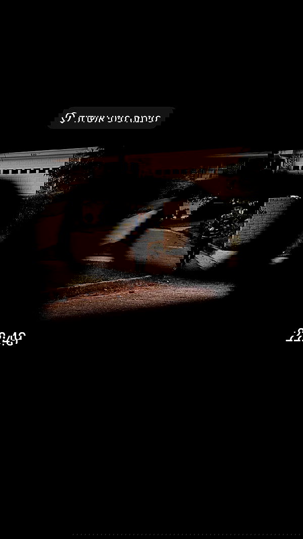 _lil_noa_ _lil_noa_ archive image