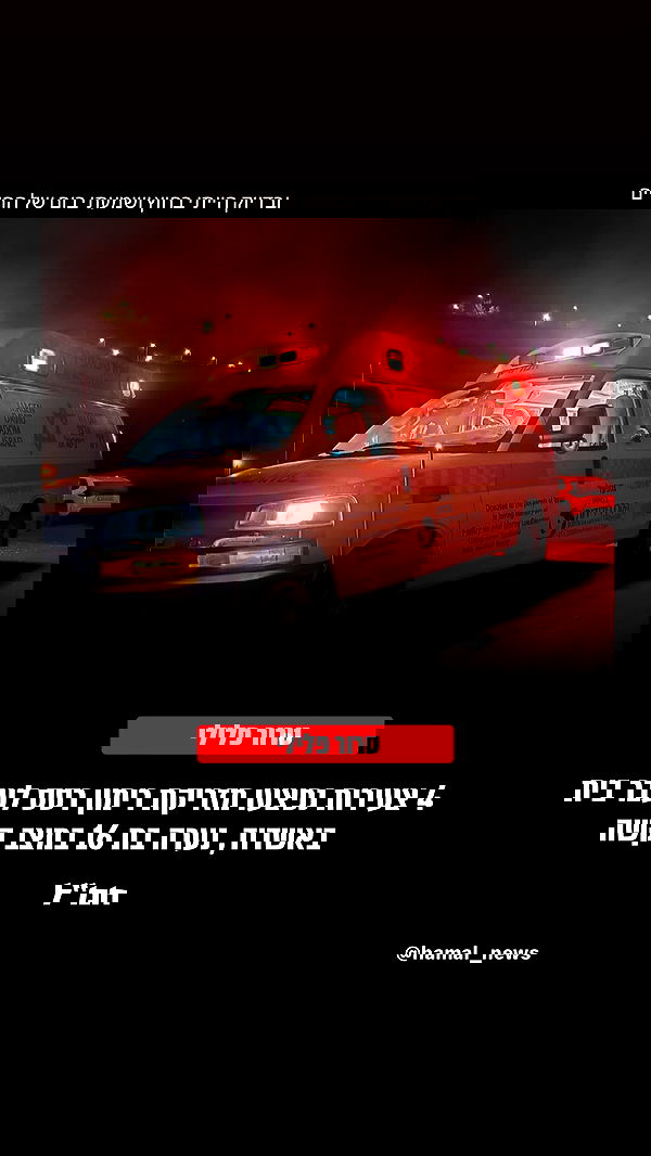 _lil_noa_ _lil_noa_ archive image