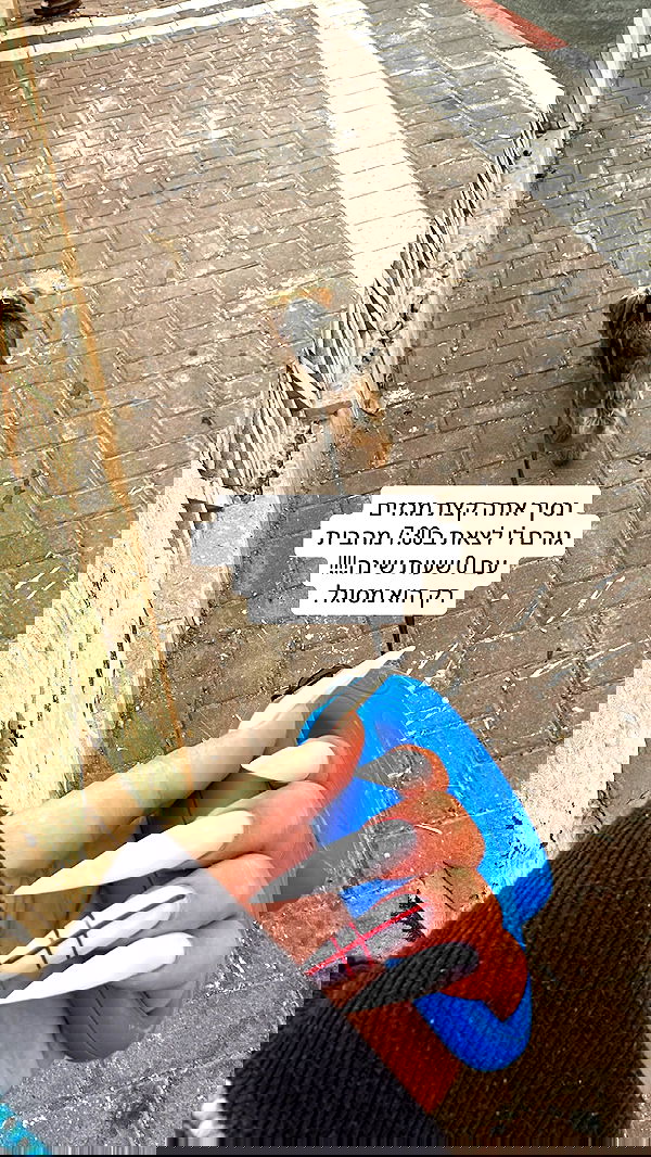 _lil_noa_ _lil_noa_ archive image