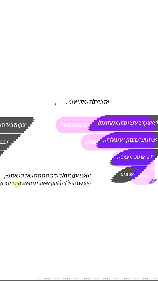 _lil_noa_ _lil_noa_ archive image