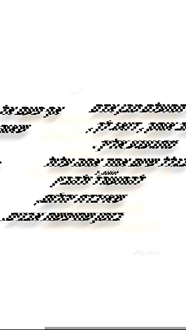 _lil_noa_ _lil_noa_ archive image