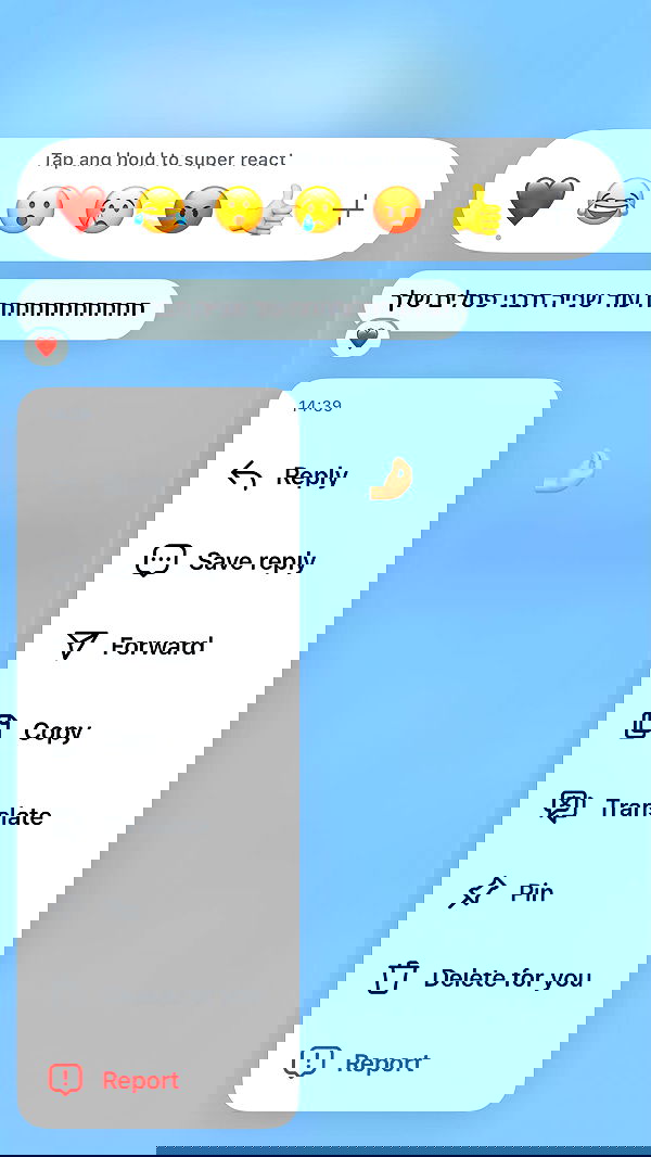 _lil_noa_ _lil_noa_ archive image