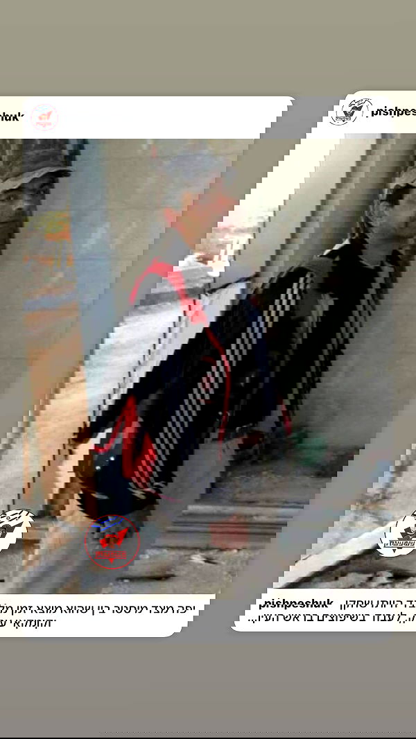 _lil_noa_ _lil_noa_ archive image