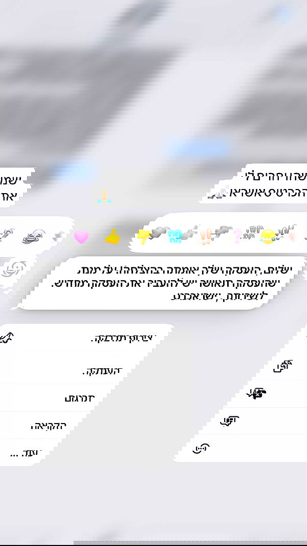 _lil_noa_ _lil_noa_ archive image