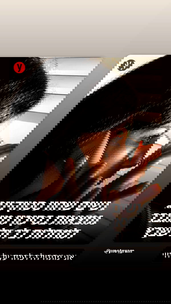 _lil_noa_ _lil_noa_ archive image