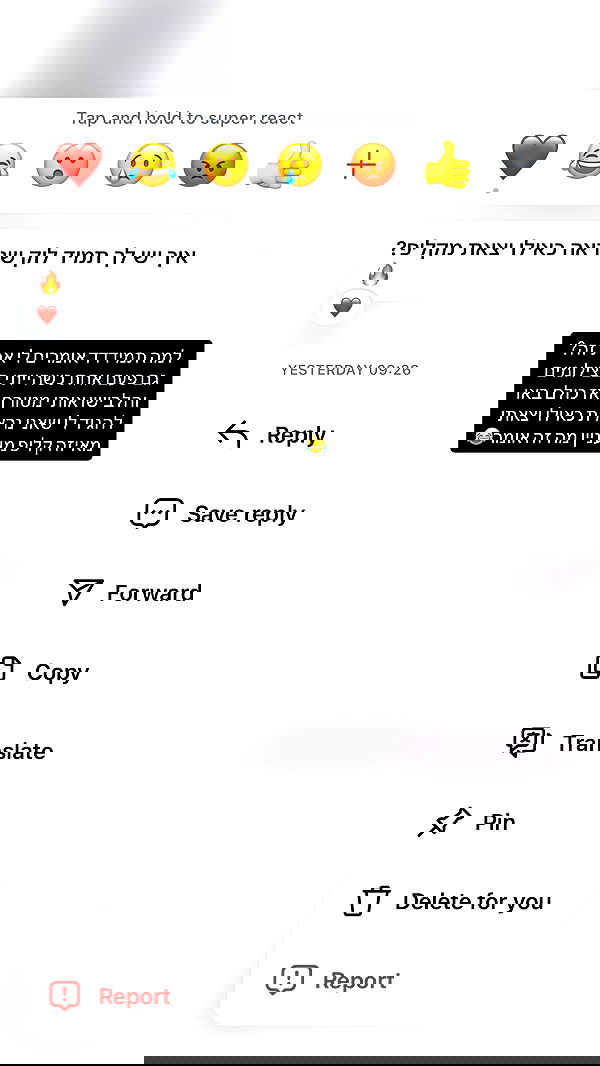 _lil_noa_ _lil_noa_ archive image