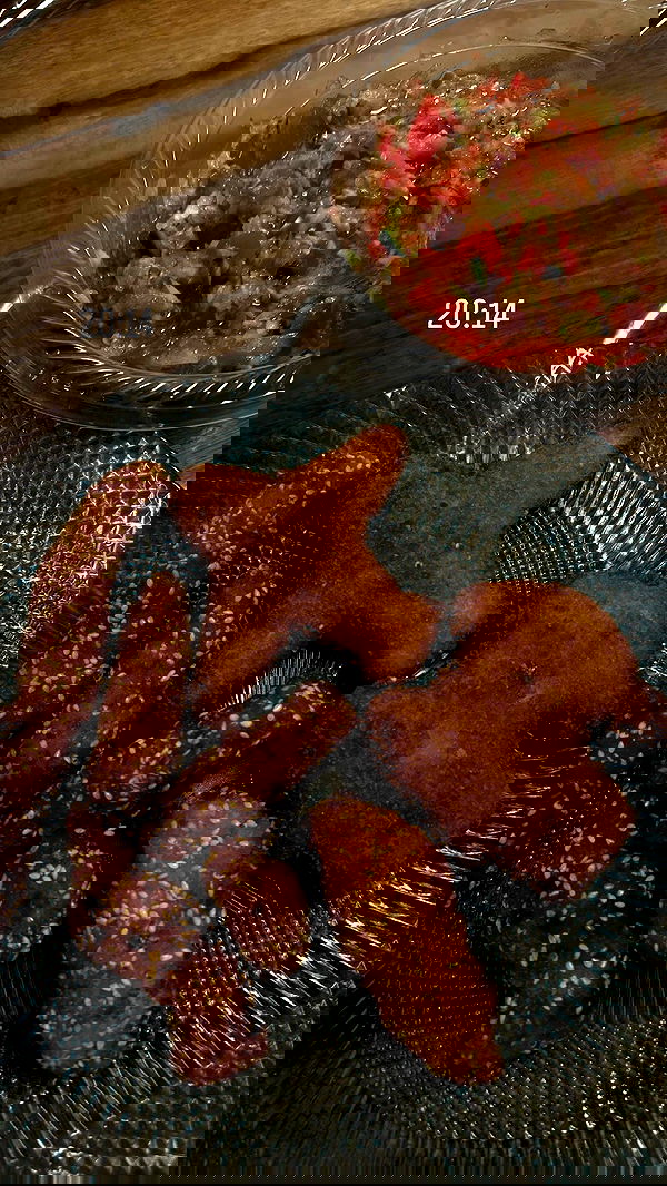 _lil_noa_ _lil_noa_ archive image