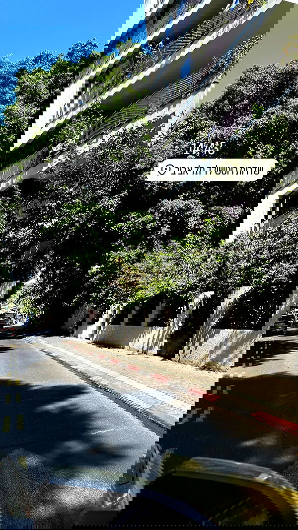 _lil_noa_ _lil_noa_ archive image