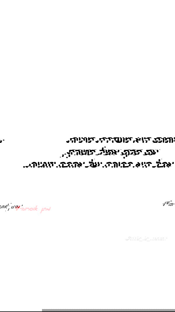 _lil_noa_ _lil_noa_ archive image