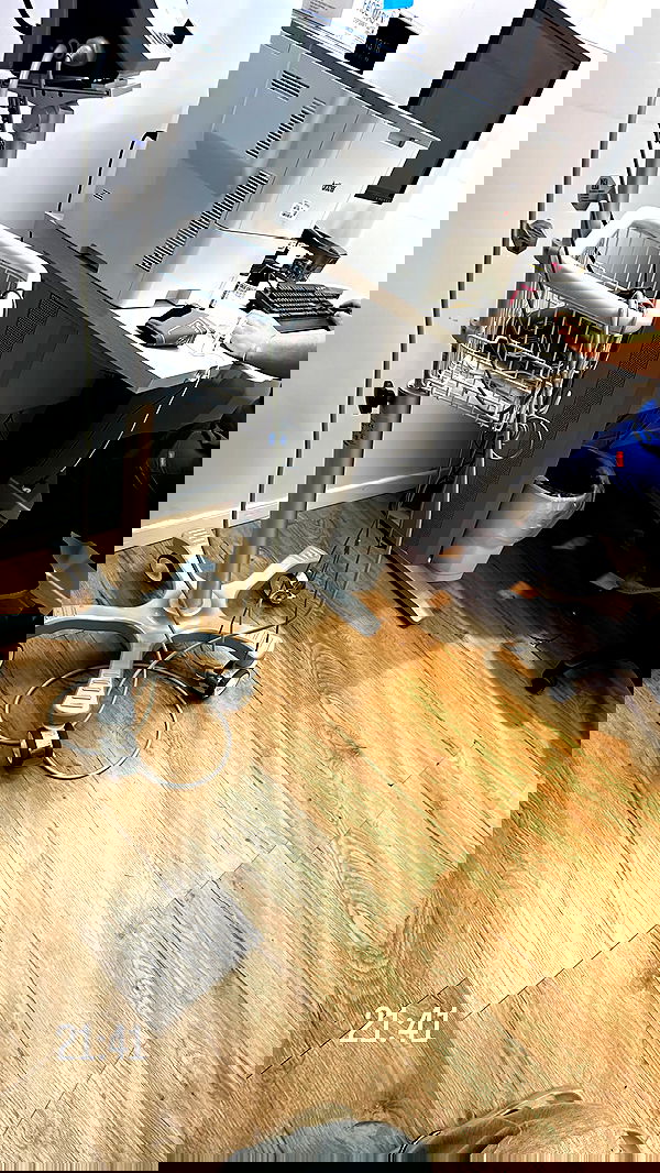 _lil_noa_ _lil_noa_ archive image