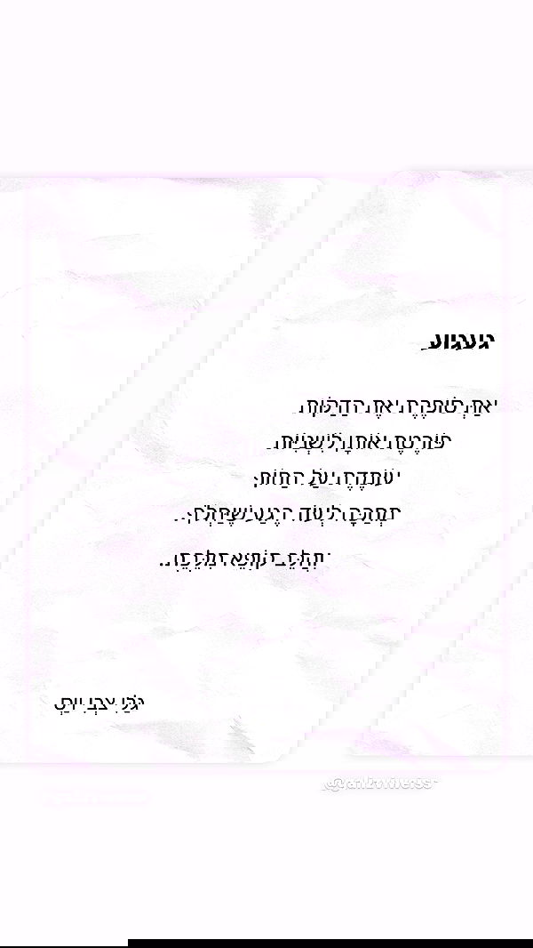 _lil_noa_ _lil_noa_ archive image