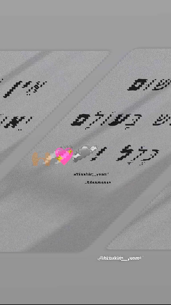 _lil_noa_ _lil_noa_ archive image