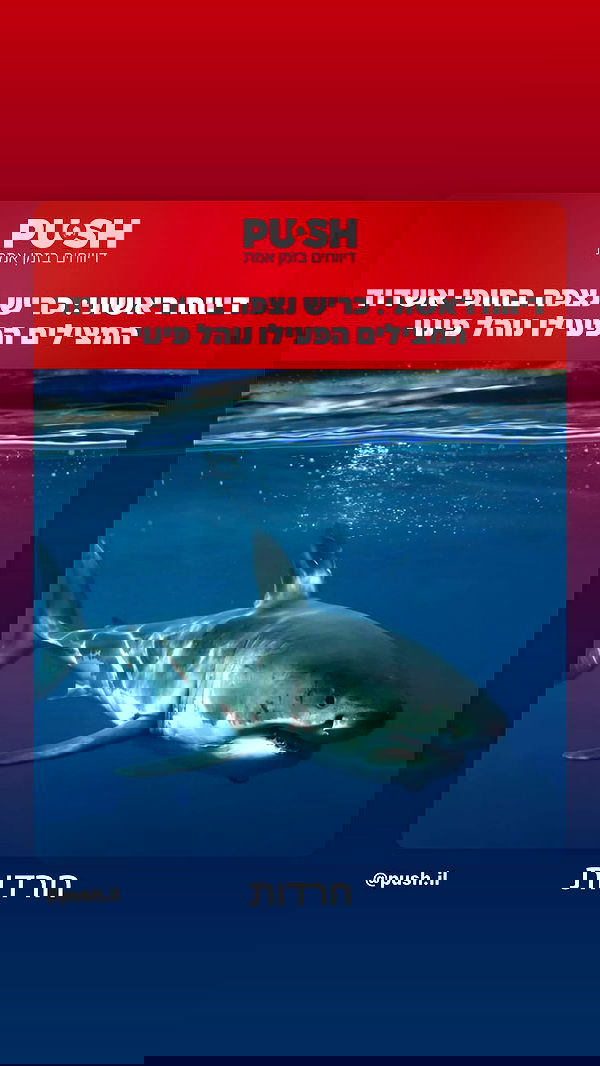 _lil_noa_ _lil_noa_ archive image