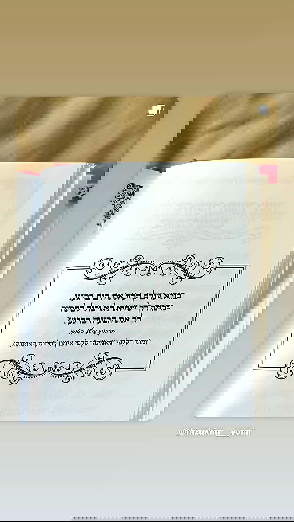 _lil_noa_ _lil_noa_ archive image