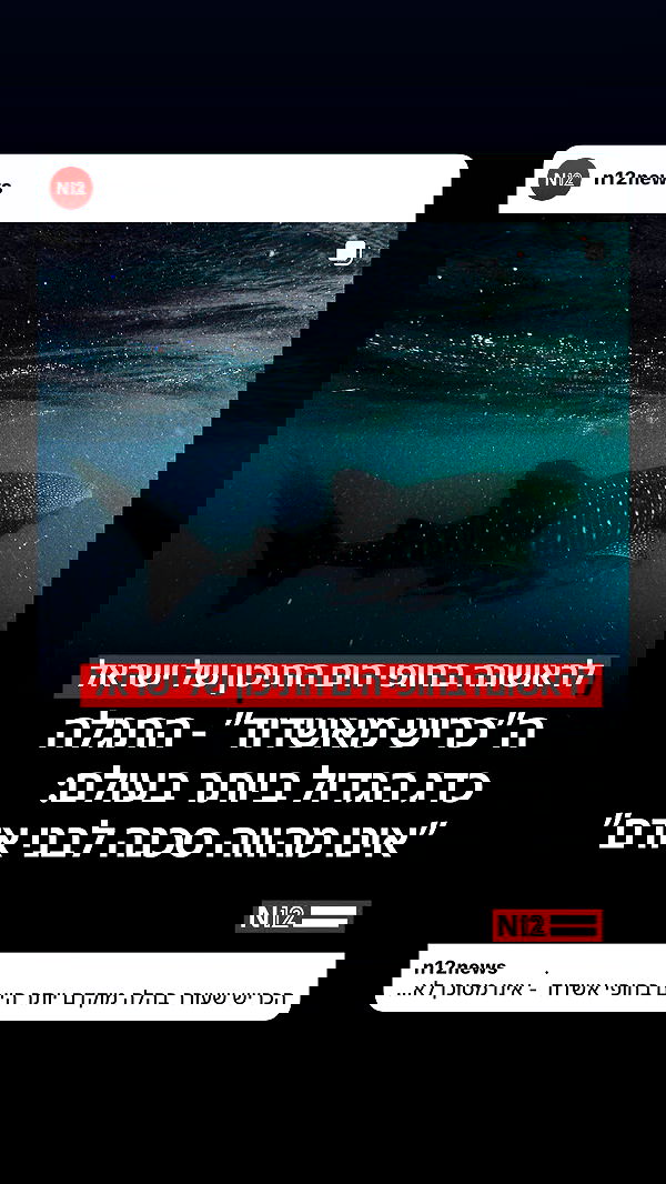 _lil_noa_ _lil_noa_ archive image